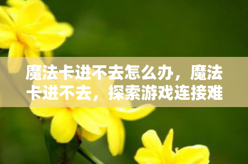 魔法卡进不去怎么办，魔法卡进不去，探索游戏连接难题的深层原因