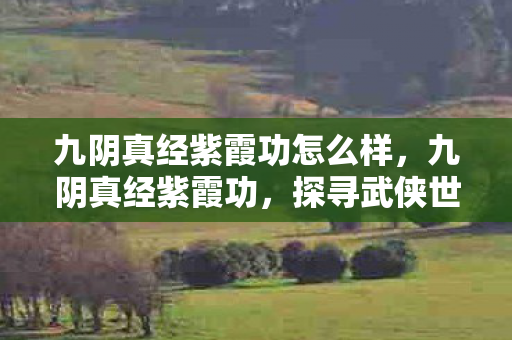 九阴真经紫霞功怎么样，九阴真经紫霞功，探寻武侠世界的内功奥秘