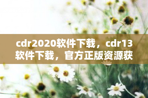 cdr2020软件下载，cdr13软件下载，官方正版资源获取指南