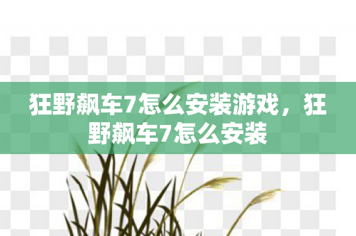 狂野飙车7怎么安装游戏，狂野飙车7怎么安装