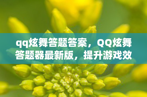 qq炫舞答题答案，QQ炫舞答题器最新版，提升游戏效率，轻松应对挑战