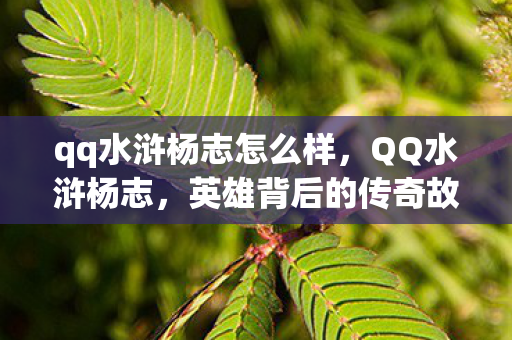 qq水浒杨志怎么样，QQ水浒杨志，英雄背后的传奇故事