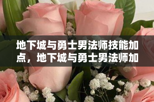 地下城与勇士男法师技能加点，地下城与勇士男法师加点策略