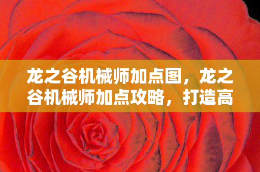 龙之谷机械师加点图，龙之谷机械师加点攻略，打造高效战斗机器