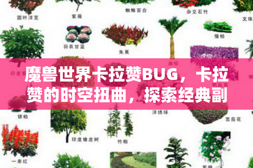 魔兽世界卡拉赞BUG，卡拉赞的时空扭曲，探索经典副本中的未解之谜