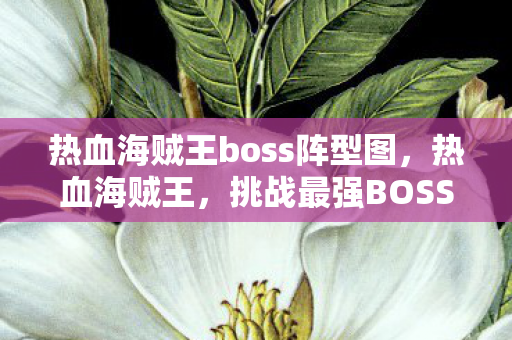热血海贼王boss阵型图，热血海贼王，挑战最强BOSS的阵容策略