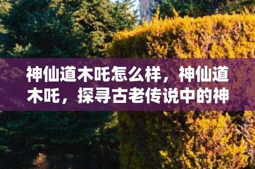 神仙道木吒怎么样，神仙道木吒，探寻古老传说中的神秘角色