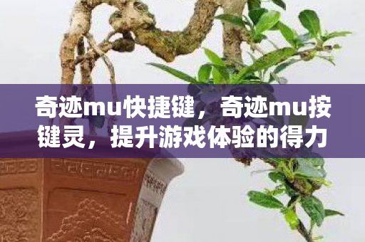 奇迹mu快捷键，奇迹mu按键灵，提升游戏体验的得力助手