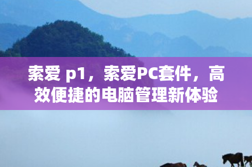 索爱 p1，索爱PC套件，高效便捷的电脑管理新体验