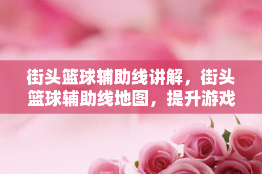 街头篮球辅助线讲解，街头篮球辅助线地图，提升游戏技巧与体验