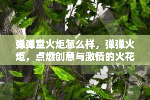 弹弹堂火炬怎么样，弹弹火炬，点燃创意与激情的火花