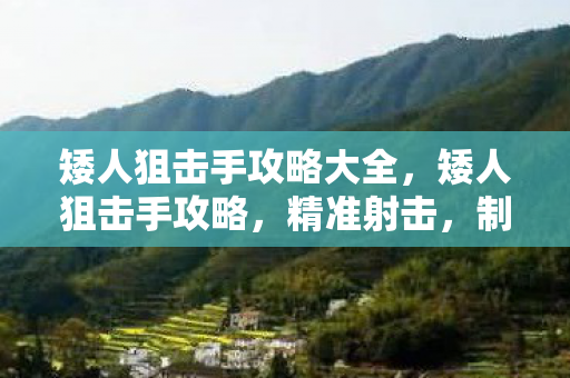 矮人狙击手攻略大全，矮人狙击手攻略，精准射击，制胜关键