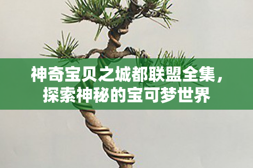 神奇宝贝之城都联盟全集，探索神秘的宝可梦世界