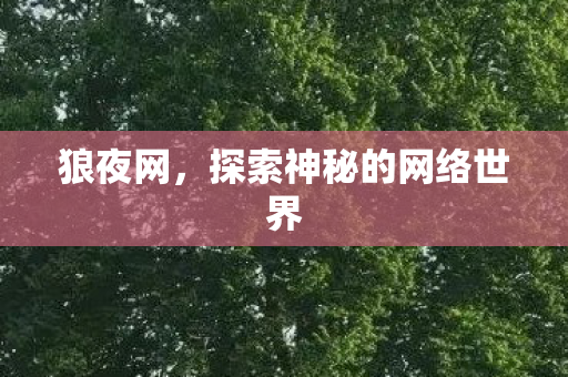 狼夜网,探索神秘的网络世界 狼夜网,探索神秘的网络世界