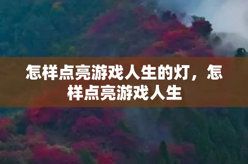 怎样点亮游戏人生的灯，怎样点亮游戏人生