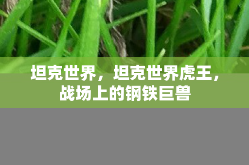 坦克世界，坦克世界虎王，战场上的钢铁巨兽