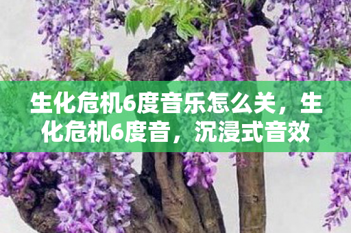生化危机6度音乐怎么关，生化危机6度音，沉浸式音效体验与游戏变革