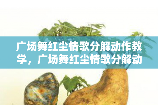 广场舞红尘情歌分解动作教学，广场舞红尘情歌分解动作详解
