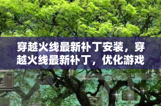 穿越火线最新补丁安装，穿越火线最新补丁，优化游戏体验，提升游戏稳定性