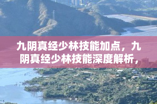 九阴真经少林技能加点，九阴真经少林技能深度解析，禅武合一的奥义