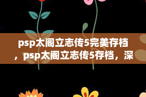 psp太阁立志传5完美存档，psp太阁立志传5存档，深度解析与分享