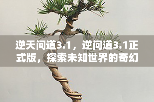 逆天问道3.1，逆问道3.1正式版，探索未知世界的奇幻之旅