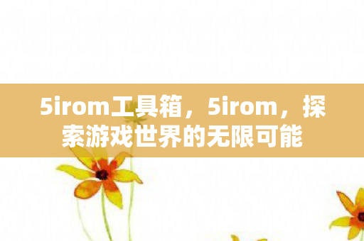 5irom工具箱，5irom，探索游戏世界的无限可能