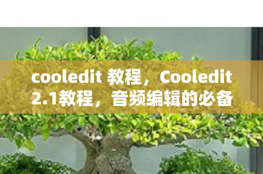 cooledit 教程，Cooledit2.1教程，音频编辑的必备技能
