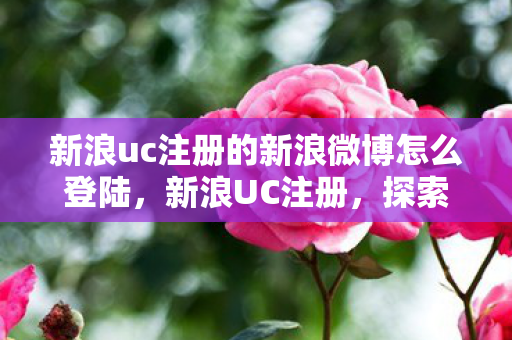 新浪uc注册的新浪微博怎么登陆，新浪UC注册，探索虚拟世界的便捷之门