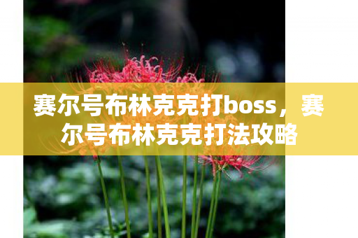 赛尔号布林克克打boss，赛尔号布林克克打法攻略