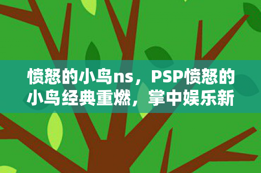 愤怒的小鸟ns，PSP愤怒的小鸟经典重燃，掌中娱乐新选择