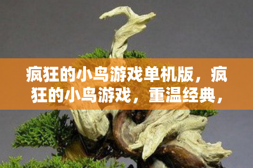 疯狂的小鸟游戏单机版，疯狂的小鸟游戏，重温经典，探索无限乐趣