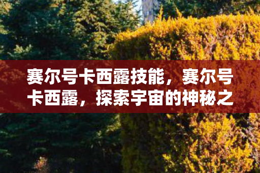 赛尔号卡西露技能，赛尔号卡西露，探索宇宙的神秘之旅