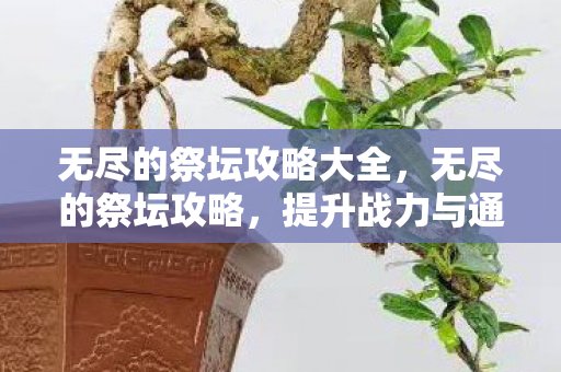 无尽的祭坛攻略大全，无尽的祭坛攻略，提升战力与通关技巧