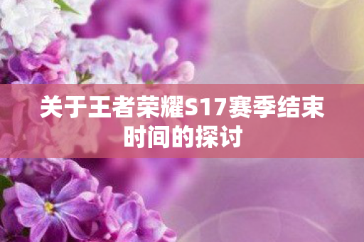 关于王者荣耀S17赛季结束时间的探讨