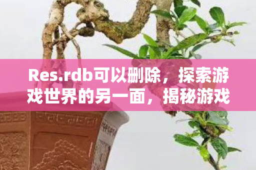 Res.rdb可以删除，探索游戏世界的另一面，揭秘游戏资源数据库（res.rdb）的神秘面纱