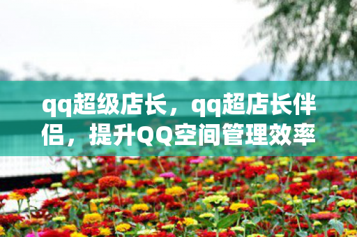 qq超级店长，qq超店长伴侣，提升QQ空间管理效率的神器