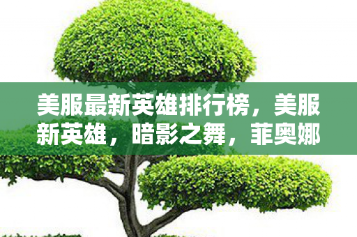 美服最新英雄排行榜，美服新英雄，暗影之舞，菲奥娜