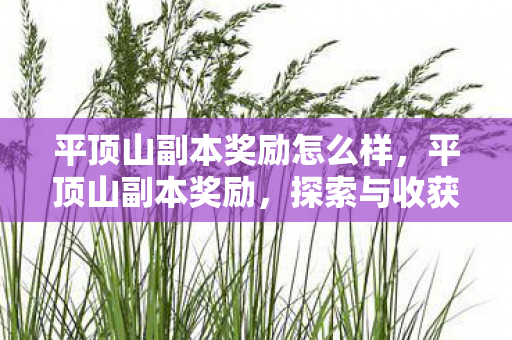 平顶山副本奖励怎么样，平顶山副本奖励，探索与收获的双重喜悦