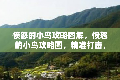 愤怒的小鸟攻略图解，愤怒的小鸟攻略图，精准打击，一飞冲天！