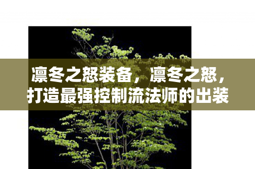 凛冬之怒装备，凛冬之怒，打造最强控制流法师的出装指南