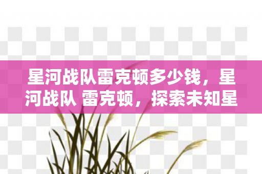 星河战队雷克顿多少钱，星河战队 雷克顿，探索未知星域的奇幻之旅