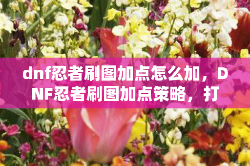 dnf忍者刷图加点怎么加，DNF忍者刷图加点策略，打造高效战斗体验