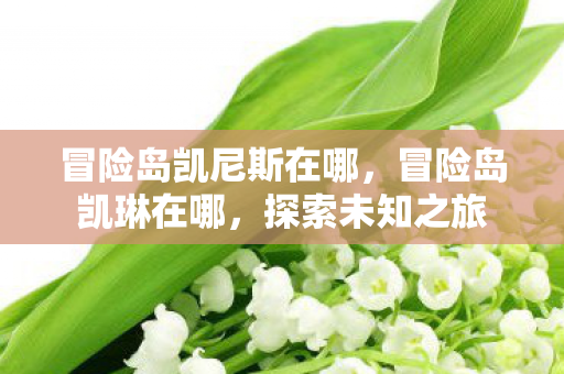 冒险岛凯尼斯在哪，冒险岛凯琳在哪，探索未知之旅