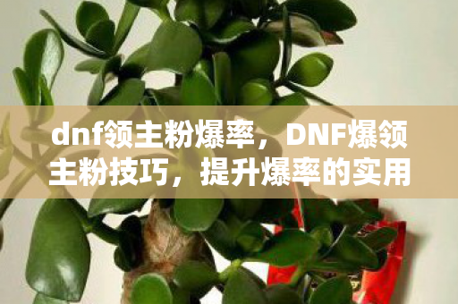 dnf领主粉爆率，DNF爆领主粉技巧，提升爆率的实用策略