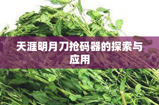 天涯明月刀抢码器的探索与应用