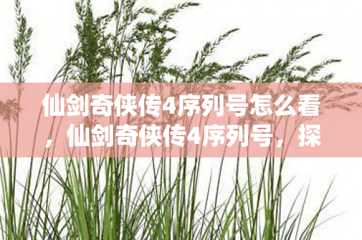 仙剑奇侠传4序列号怎么看，仙剑奇侠传4序列号，探寻古老传说背后的秘密