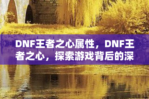 DNF王者之心属性，DNF王者之心，探索游戏背后的深层意义