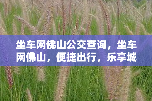 坐车网佛山公交查询，坐车网佛山，便捷出行，乐享城市生活