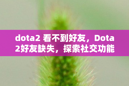 dota2 看不到好友，Dota2好友缺失，探索社交功能的局限与影响
